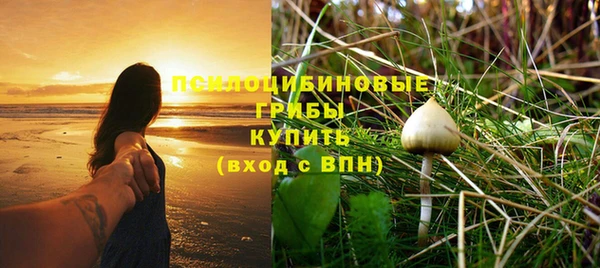 дживик Балахна