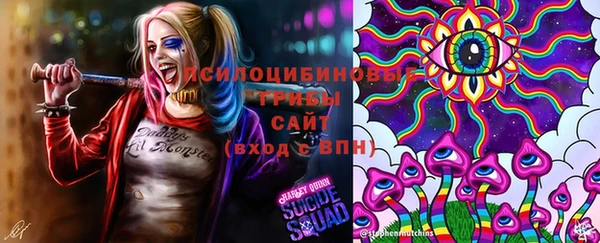 дживик Балахна