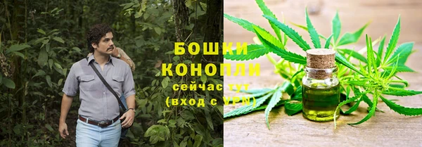 дживик Балахна